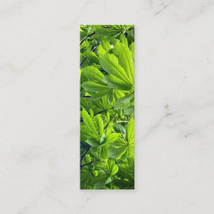 Naturfotografering Gröna blad Bokmärke Nytt blad Mini Visitkort