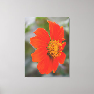 Naturfotografering Levande Varm Orange Blomma Canvastryck
