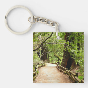 Naturfotografering på Muir Woods Path II