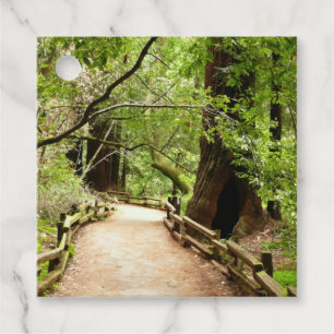 Naturfotografering på Muir Woods Path II Gåvor Etiketter