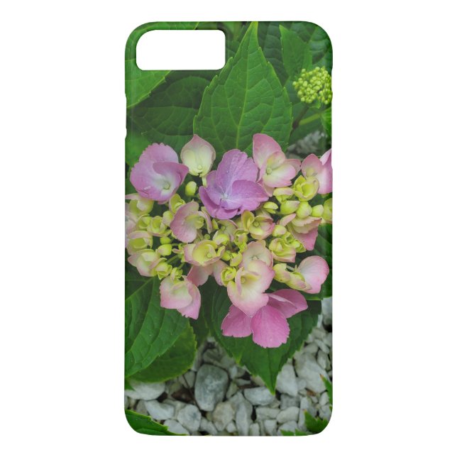 Naturfotografering Vackra Rosa Blommor Case-Mate iPhone Skal (Baksida)