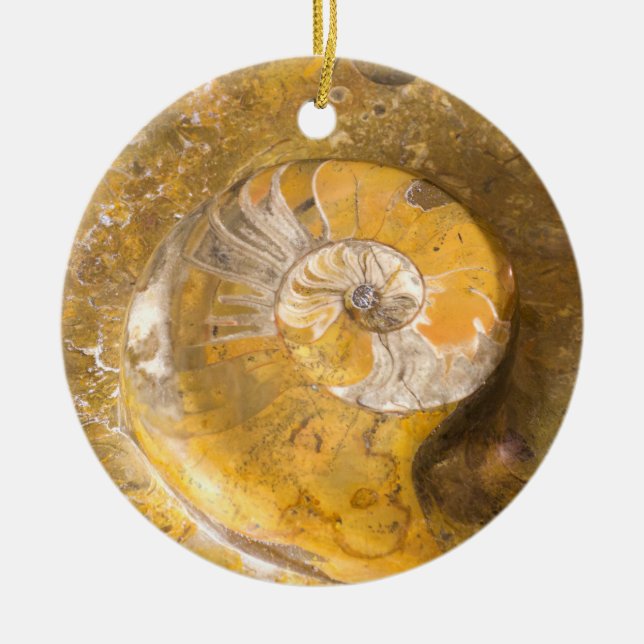 Naturfotografi av ammonit fossil Sten, keramiskt e Julgransprydnad Keramik (Framsidan)