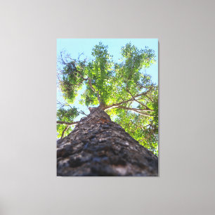 Naturfotografi av ett Majestätiskt Gammalt Träd Canvastryck