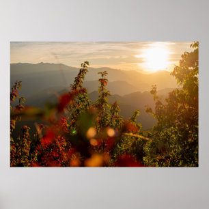 Naturfotografi av grönt träd som bortser från munn poster