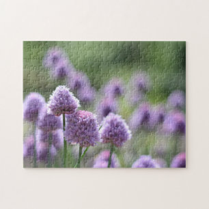 Naturfotografi av Red Klöver Herb Lila blommor Pussel