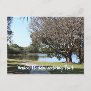 Naturfotografi av Walking trail Venice Florida Vykort