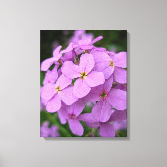 Naturfotografi Canvastryck (Framsida)