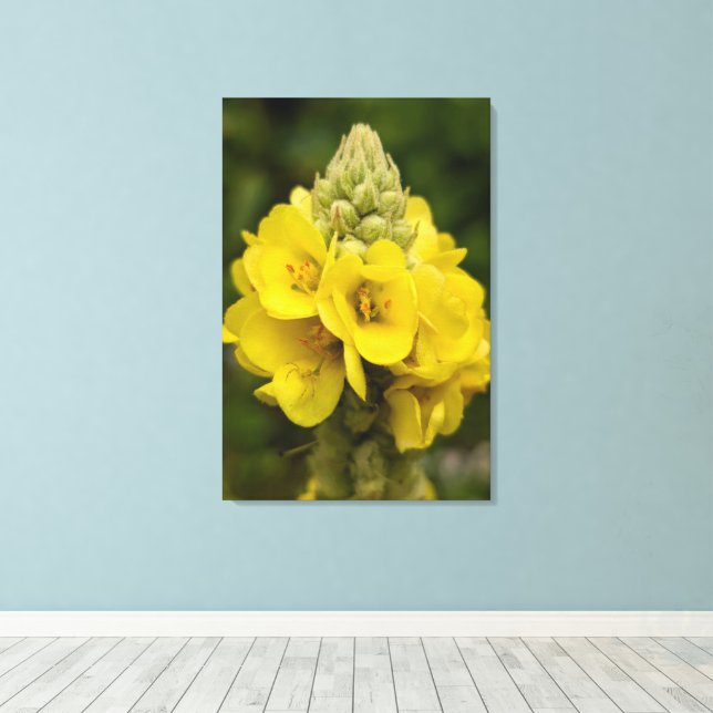 Naturfotografi Canvastryck (Insitu (trägolv))