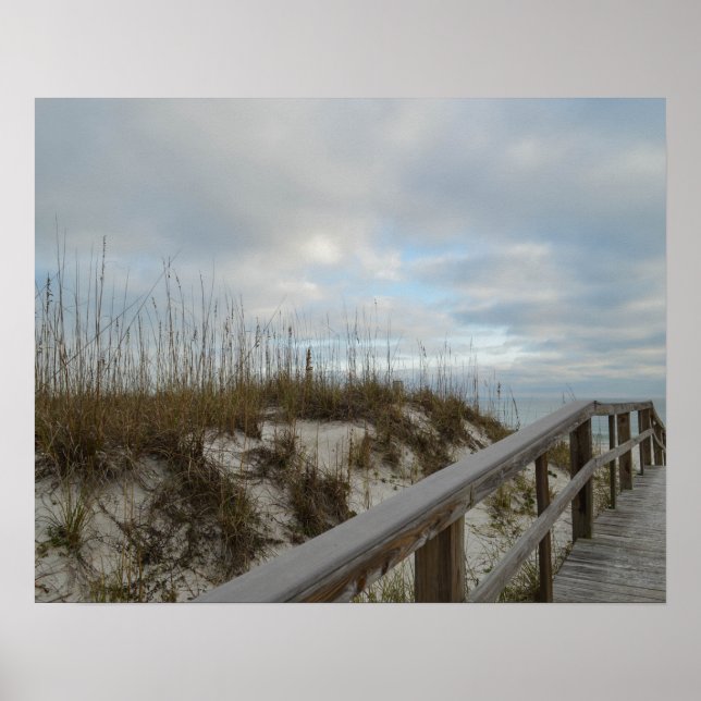 Naturfotografi för Scenia Boardpromenäge Florida B Poster (Framsidan)