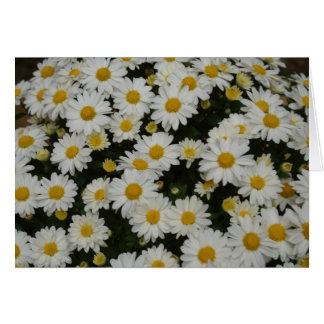 Naturfotografi Hälsningskort