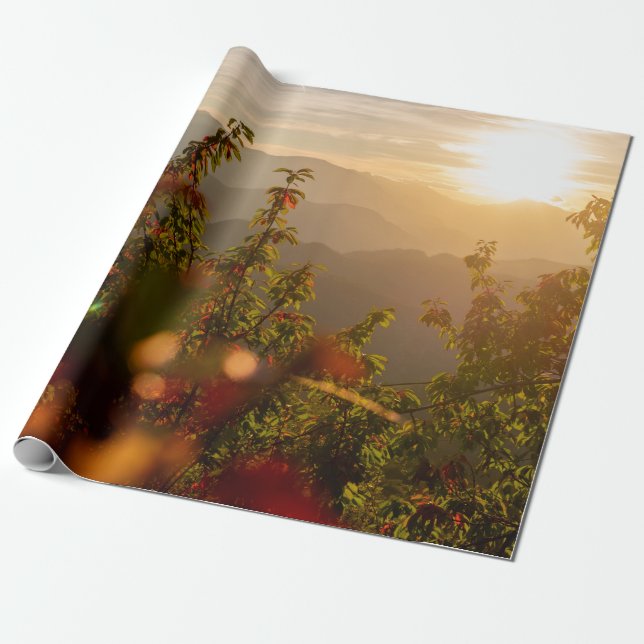 NATURFOTOGRAFI HOT GRÖNT TRÄD OVERLOOKING MOUN PRESENTPAPPER (Utrullad)