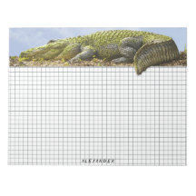Naturfotografi Huge Gator Panoramautskärning