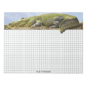 Naturfotografi Huge Gator Panoramautskärning Anteckningsblock