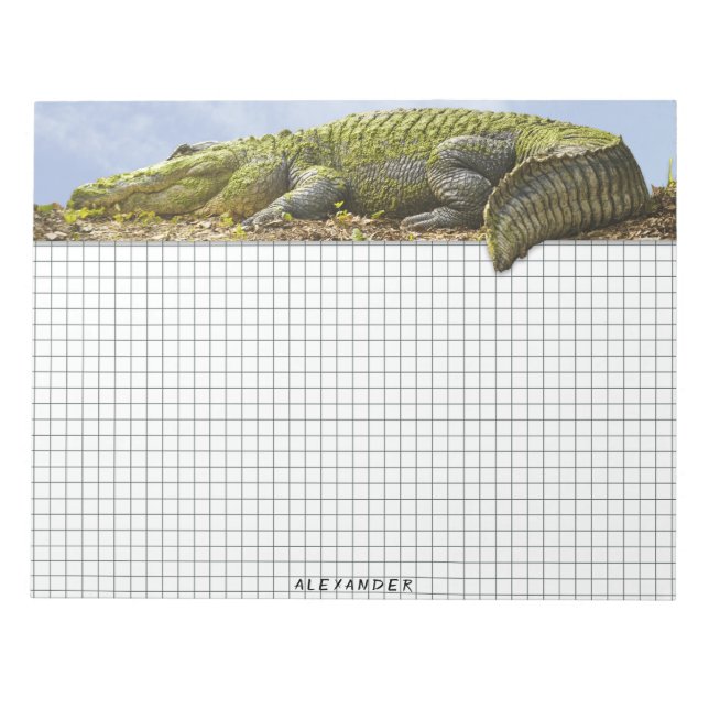 Naturfotografi Huge Gator Panoramautskärning Anteckningsblock (Framsida)