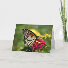 Naturfotografi Kort