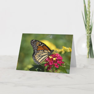 Naturfotografi Kort