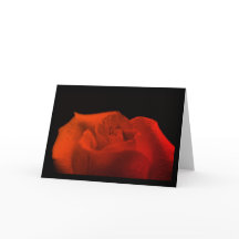 Naturfotografi