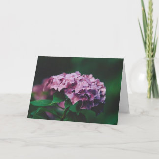 Naturfotografi Kort