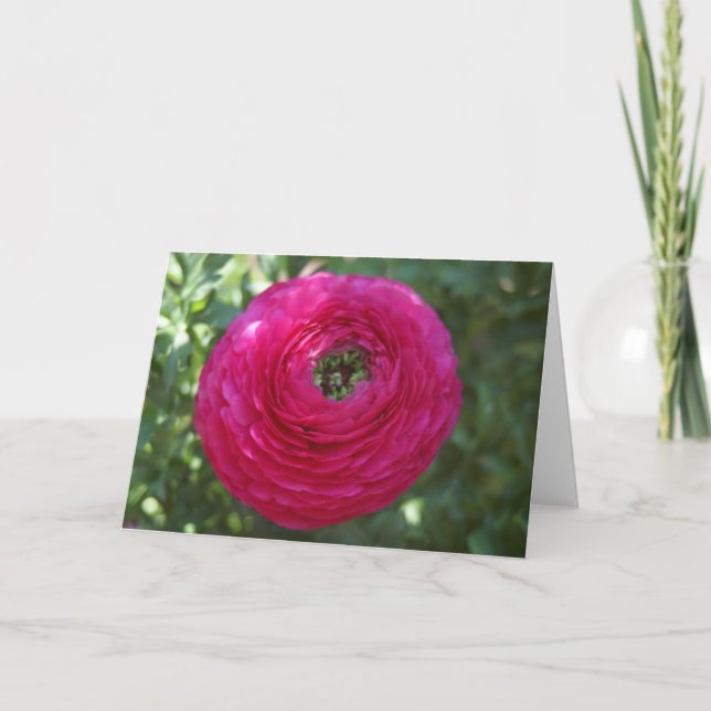Naturfotografi Kort (Framsida)
