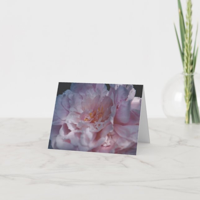 Naturfotografi Kort (Framsida)