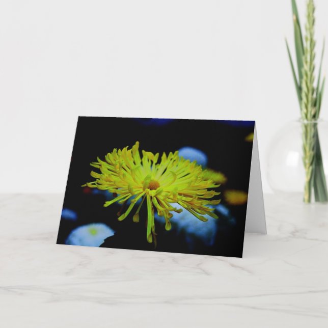 Naturfotografi Kort (Framsida)
