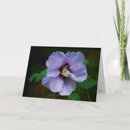 Naturfotografi Kort