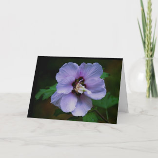 Naturfotografi Kort