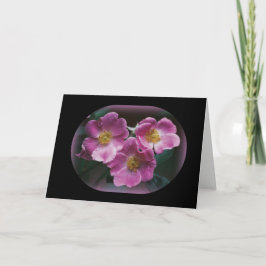 Naturfotografi Kort