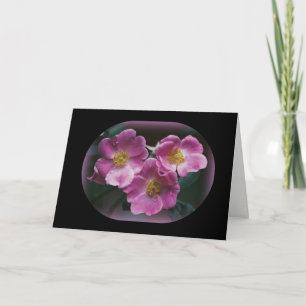 Naturfotografi Kort