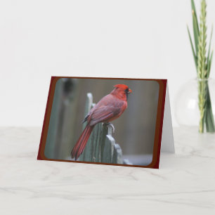 Naturfotografi Kort