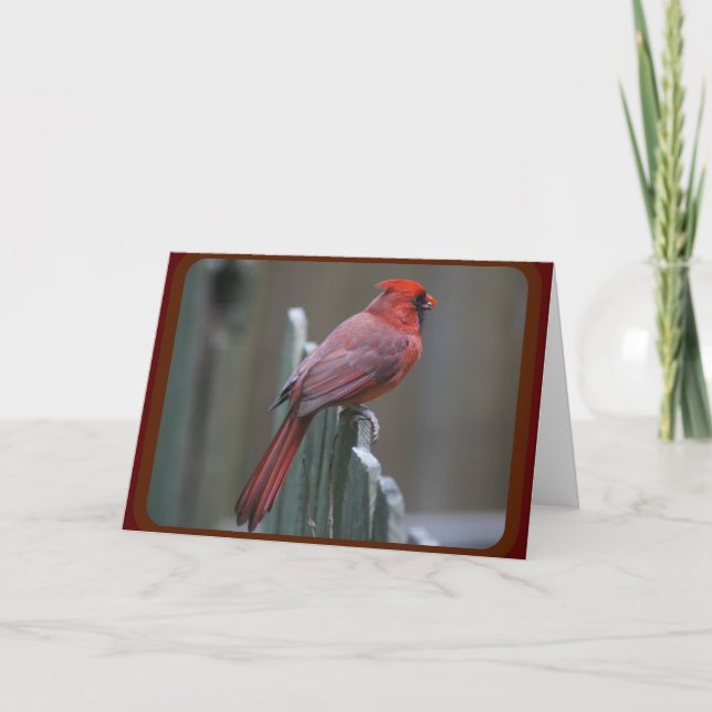 Naturfotografi Kort (Framsida)