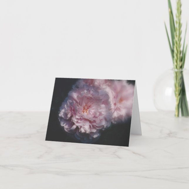 Naturfotografi Kort (Framsida)