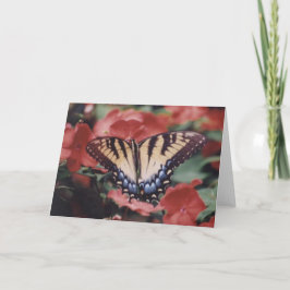Naturfotografi Kort