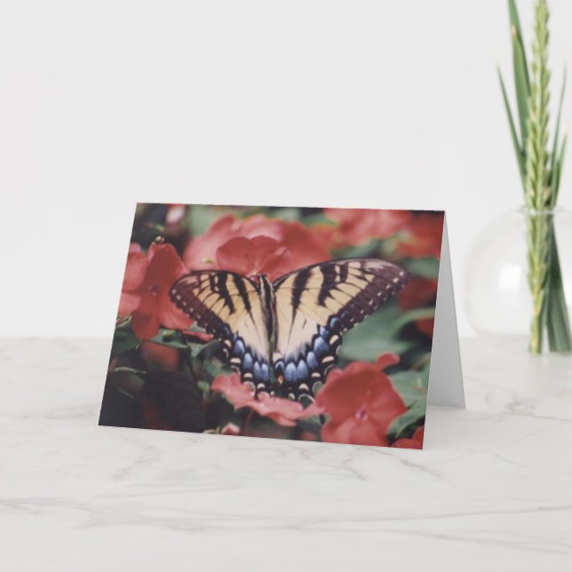 Naturfotografi Kort (Framsida)