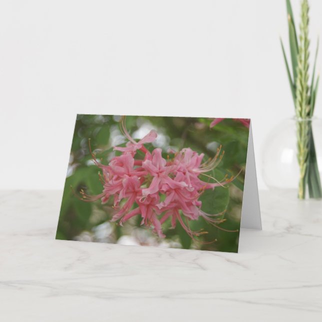 Naturfotografi Kort (Framsida)