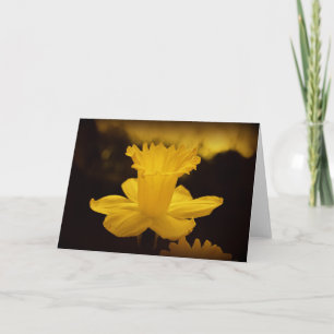 Naturfotografi Kort