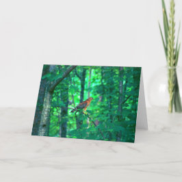 Naturfotografi Kort