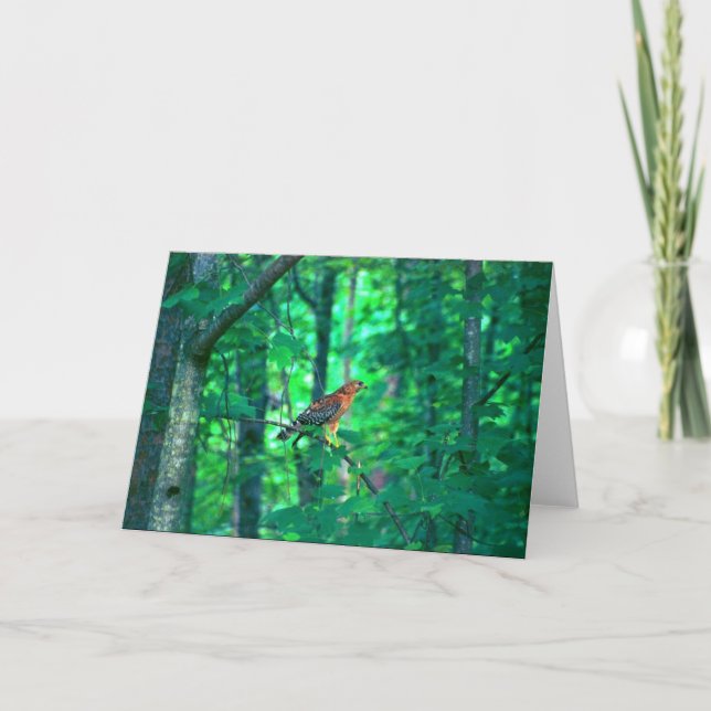 Naturfotografi Kort (Framsida)