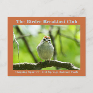 Naturfotografi - kylskåp - Sparrow Birder Card Vykort