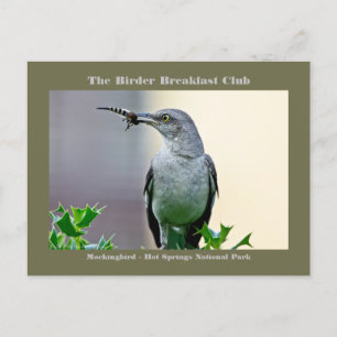 Naturfotografi - Mockingbird Birder Card Vykort