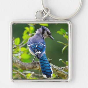 Naturfotografi Shy Blue Jay Apparel Gifts Shy Blue Fyrkantig Silverfärgad Nyckelring
