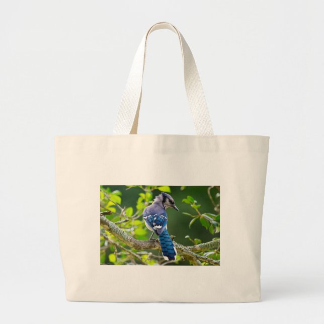 Naturfotografi Shy Blue Jay Apparel Gifts Shy Blue Jumbo Tygkasse (Framsidan)