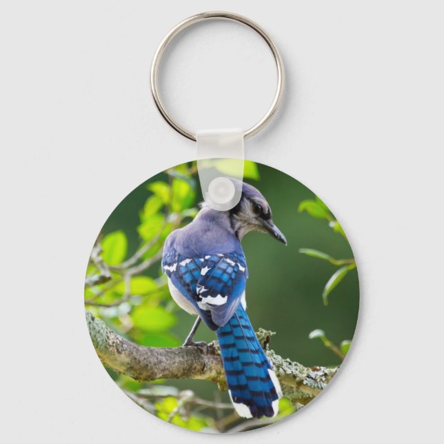 Naturfotografi Shy Blue Jay Apparel Gifts Shy Blue Nyckelring (Framsida)