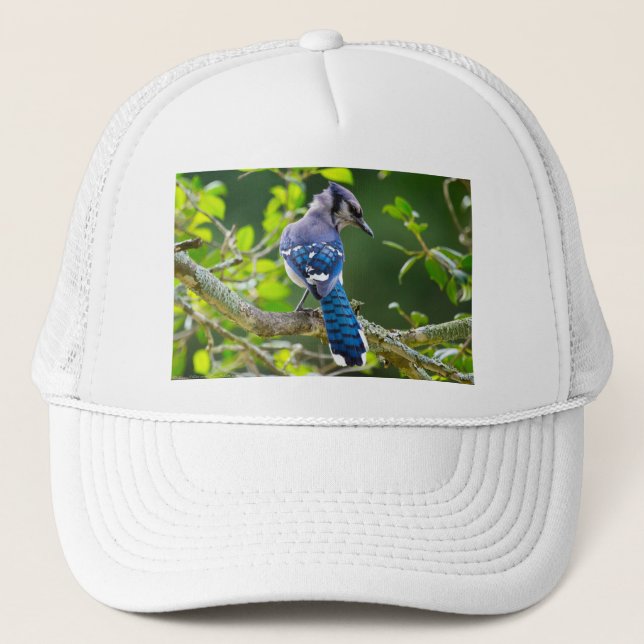 Naturfotografi Shy Blue Jay Apparel Gifts Shy Blue Truckerkeps (Framsida)
