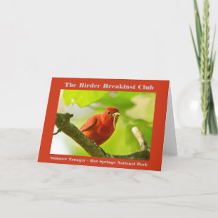 Naturfotografi Sommar Tanager Birder Kort