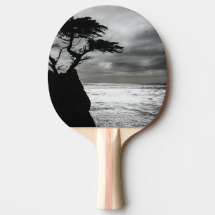 Naturfotografi, svart och vitt pingisracket
