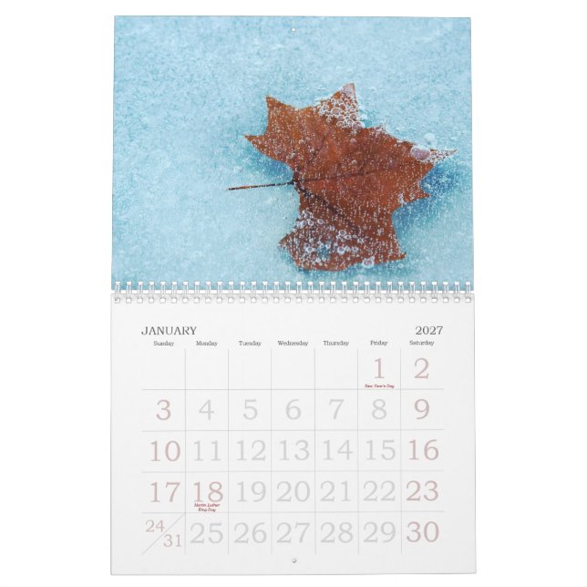 Naturfotografikalender 2009 kalender (Jan 2027)