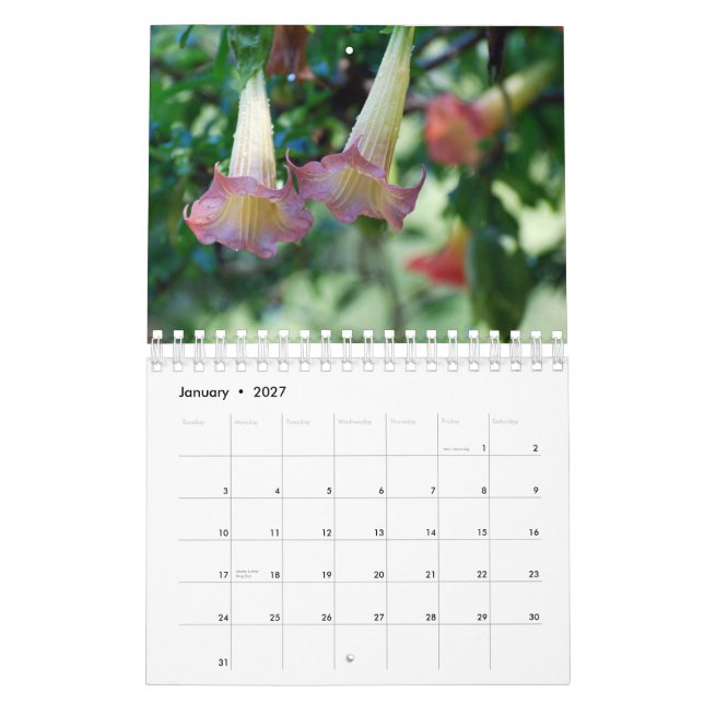 Naturfotografikalender Kalender (Jan 2027)