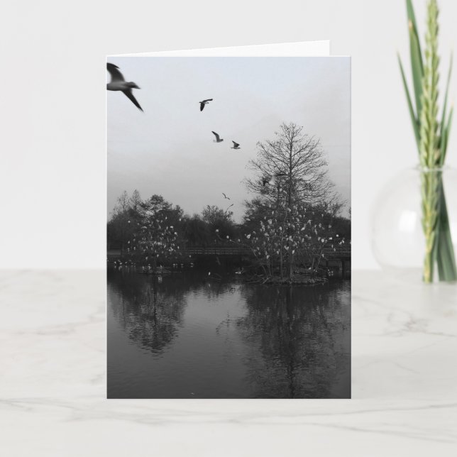 Naturhälsningskort Kort (Framsida)