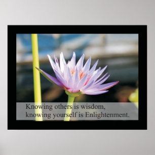 Naturhälsocitat och Ord Poster Lao Tzu